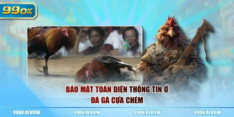 Bảo mật toàn diện thông tin ở đá gà cựa chém