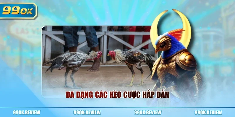 Đa dạng các kèo cược hấp dẫn