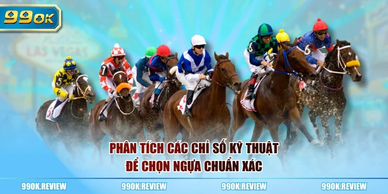 Phân tích các chỉ số kỹ thuật để chọn ngựa chuẩn xác