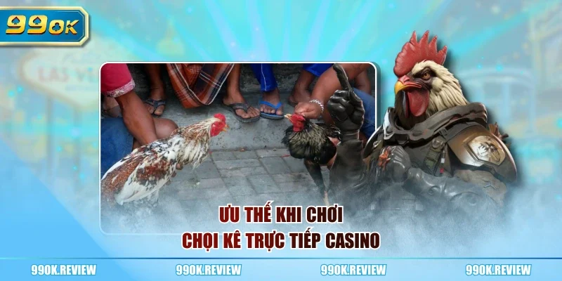 Ưu thế khi chơi chọi kê trực tiếp casino
