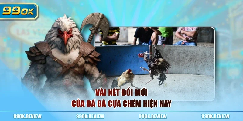 Vài nét đổi mới của đá gà cựa chém hiện nay